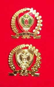 pin, emblim, keratuan pugung, pin madukoro, pin bintang, pin amarta bumi, emblem, plakat, logo, lencana, lencana korpri, lencana tanda jasa, lencana tni, lencana bhayangkari