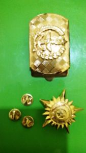 pin, emblim, keratuan pugung, pin madukoro, pin bintang, pin amarta bumi, emblem, plakat, logo, lencana, lencana korpri, lencana tanda jasa, lencana tni, lencana bhayangkari