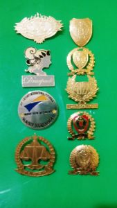 pin, emblim, keratuan pugung, pin madukoro, pin bintang, pin amarta bumi, emblem, plakat, logo, lencana, lencana korpri, lencana tanda jasa, lencana tni, lencana bhayangkari